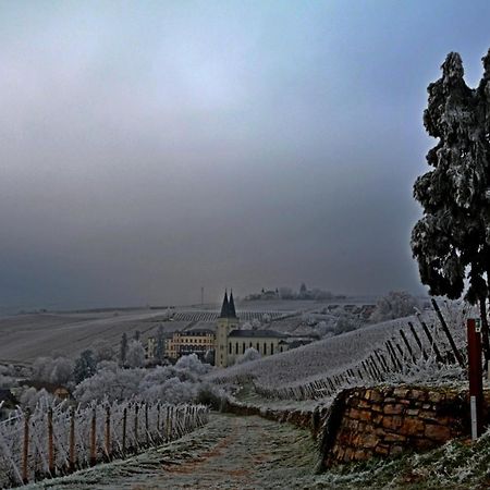 Appartamento Auszeit Rheingauer Rosengasse Johannisberg Esterno foto