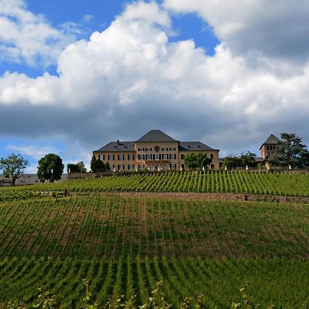 Appartamento Auszeit Rheingauer Rosengasse Johannisberg Esterno foto