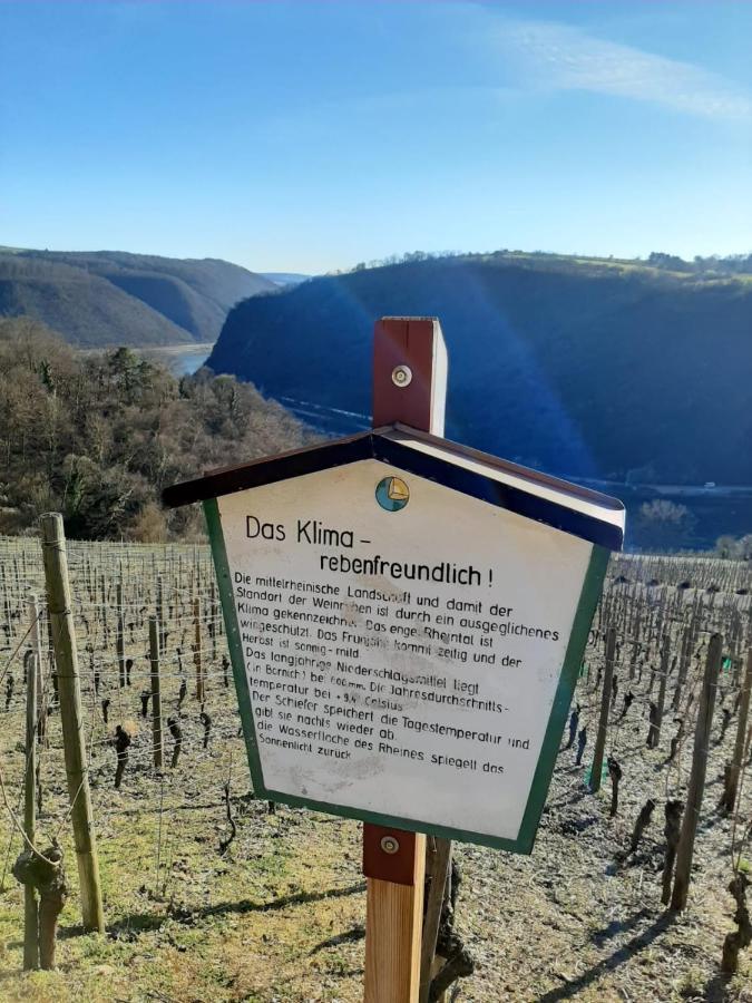 Appartamento Auszeit Rheingauer Rosengasse Johannisberg Esterno foto