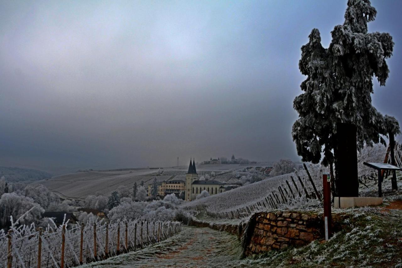 Appartamento Auszeit Rheingauer Rosengasse Johannisberg Esterno foto