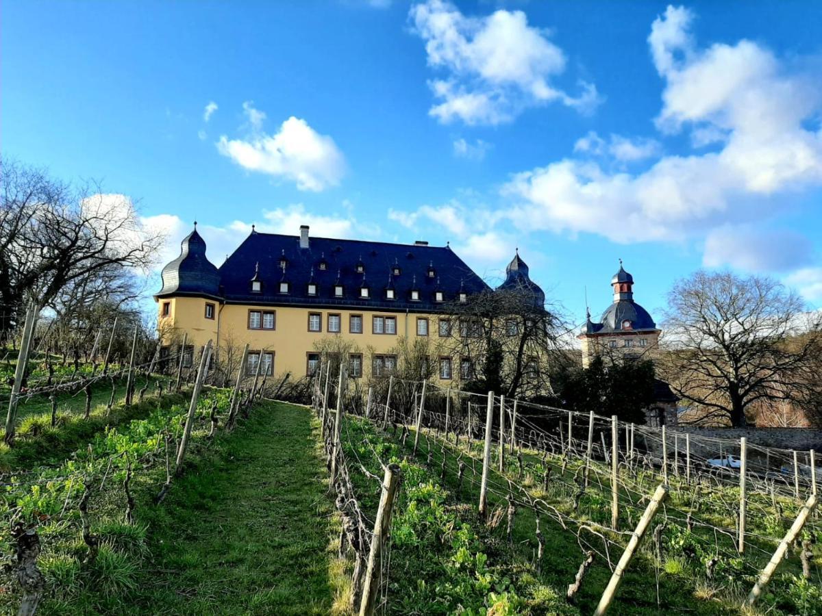 Appartamento Auszeit Rheingauer Rosengasse Johannisberg Esterno foto