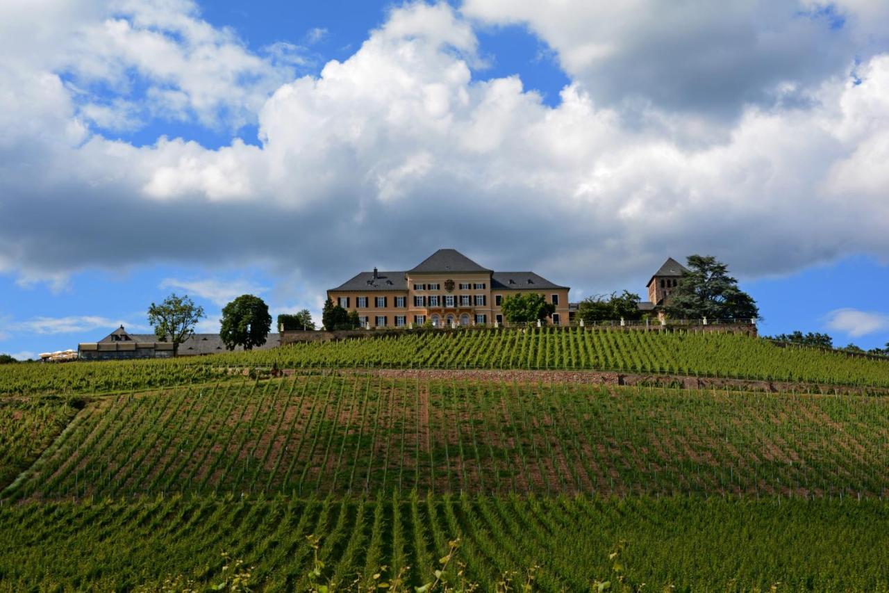 Appartamento Auszeit Rheingauer Rosengasse Johannisberg Esterno foto