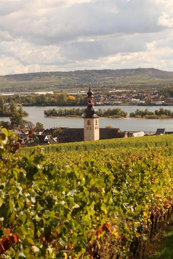 Appartamento Auszeit Rheingauer Rosengasse Johannisberg Esterno foto