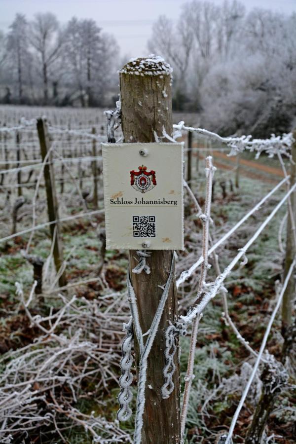 Appartamento Auszeit Rheingauer Rosengasse Johannisberg Esterno foto